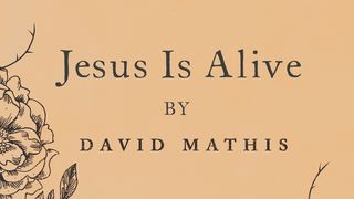 Jesus Is Alive by David Mathis John 14:18-20 The Message