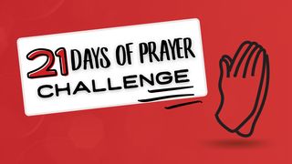 21 Days of Prayer Challenge Ezekiel 22:30-31 The Message