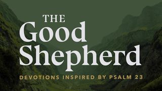 The Good Shepherd: Devotions Inspired by Psalm 23 Ezekiel 34:12 New International Version
