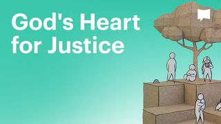 BibleProject | God's Heart for Justice Matthew 4:23-25 The Message