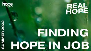Finding Hope in Job Job 14:7 New International Version