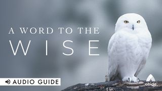 A Word to the Wise Galatians 1:10-12 English Standard Version 2016
