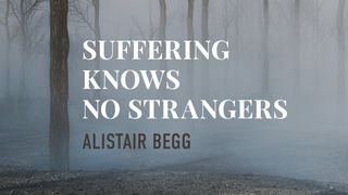 Suffering Knows No Strangers Psalms 31:15 New International Version