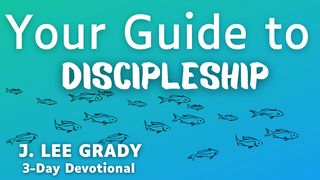 Your Guide to Discipleship Acts 9:17-18 New International Version