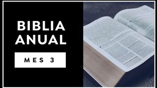 Biblia Anual (Mes 3) Salmos 119:128 Traducción en Lenguaje Actual