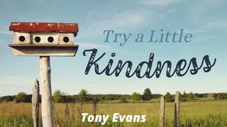 Try a Little Kindness 1 Timothy 6:17-19 The Message