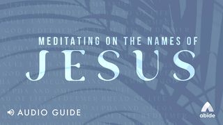 Meditating on the Names of Jesus John 1:29-42 New Living Translation