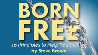 Born Free: 16 Principles to Help You Be Free Matthew 15:16-20 The Message