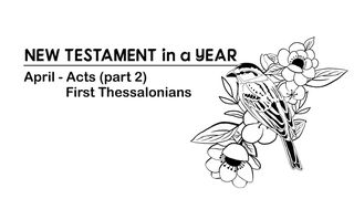 New Testament in a Year: April Acts 20:13-16 The Message