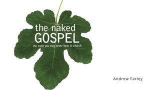 The Naked Gospel Hebrews 10:16-25 Amplified Bible