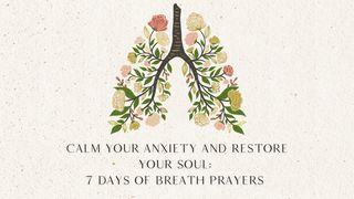 Calm Your Anxiety and Restore Your Soul: 7 Days of Breath Prayers MEZMURLAR 107:28-29 Kutsal Kitap Yeni Çeviri 2001, 2008