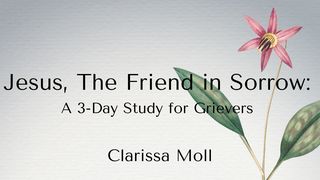 Jesus, the Friend in Sorrow: A 3-Day Study for Grievers Ephesians 3:14-21 The Message