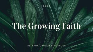 The Growing Faith Philippians 2:12-13 The Message