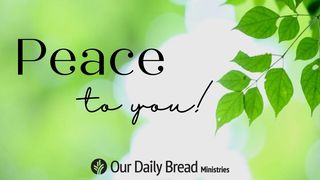 Peace to You! 1 John 3:16-17 The Message