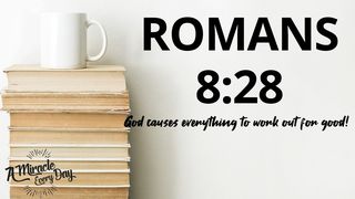Romans 8:28  Efesios 3:12-13 Traducción en Lenguaje Actual