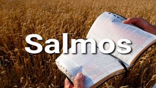Salmos en 10 Versículos Salmo 103:10 La Biblia de las Américas