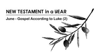 New Testament in a Year: June Luke 21:25-28 The Message