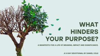 What Hinders Your Purpose? Ecclesiastes 4:4 New International Version
