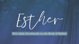 Esther: Seeing Our Invisible God in an Uncertain World Proverbs 31:10-31 The Message