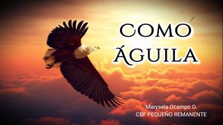Como Águila Salmo 51:10 Nueva Versión Internacional - Español