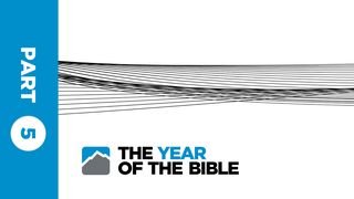 Year of the Bible: Part Five of Twelve  Psalms 89:15 New Living Translation