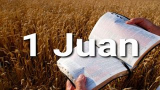1 Juan en 10 Versículos  1 Juan 2:3-4 Biblia Dios Habla Hoy