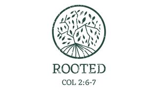 Rooted: Developing a Faith That Will Last Titus 2:1-6 The Message