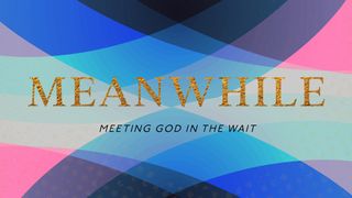 Meanwhile: Meeting God in the Wait Genesis 39:11-15 The Message