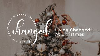 Veranderd leven: tijdens Kerstmis Johannes 14:27 Het Boek