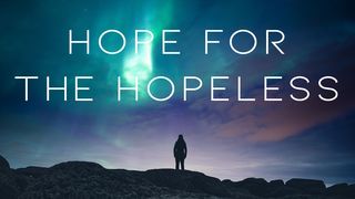 Hope in Times of Hopelessness Luke 9:58 New Living Translation