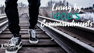 Living by God's Commandments Exodus 20:16 New Century Version