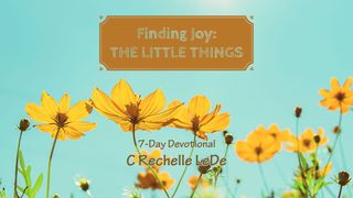 Finding Joy: The Little Things Ecclesiastes 5:18-20 The Message