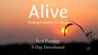 Alive: Finding Freedom for Good Romans 10:14-17 The Message