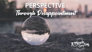 Perspective Through Disappointment João 18:11 O Livro