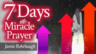7 Days of Miracle Prayer Psalms 56:10-11 The Message