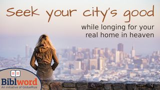 Seek Your City's Good 1 Timothy 2:8-10 New Living Translation