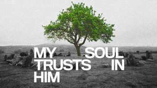 My Soul Trusts in Him 1 Samuel 16:6-12 New International Version