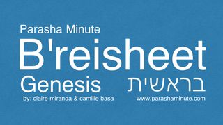 Parasha Minute: Genesis / Breisheet Genesis 13:11 American Standard Version