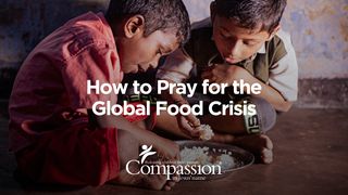 How to Pray for the Global Food Crisis Galatians 6:2-5 New Living Translation