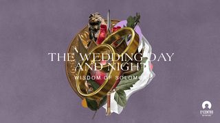 [Wisdom of Solomon] the Wedding Day and Night Song of Songs 4:13 New International Version
