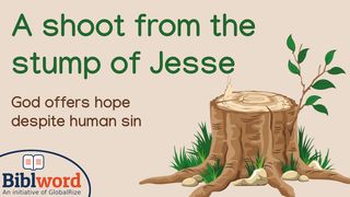 A Shoot From the Stump of Jesse Isaiah 11:1-5 The Message