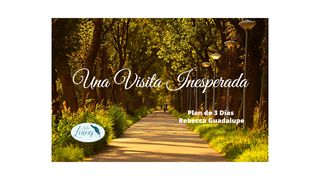 Una Visita Inesperada Lucas 19:10 Nueva Versión Internacional - Español