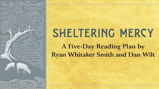 Sheltering Mercy by Ryan Whitaker Smith and Dan Wilt Psalms 5:11-12 The Message