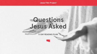 Questions Jesus Asked Mark 10:37 The Message