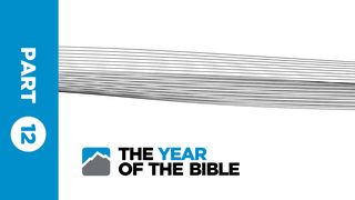 Year of the Bible: Part Twelve of Twelve Revelation 1:1-7 King James Version