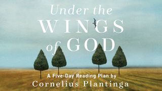 Under the Wings of God by Cornelius Plantinga Psalms 121:1-2 The Message