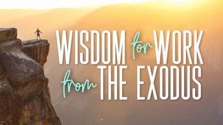Wisdom for Work From the Exodus Exodus 1:17 New Living Translation
