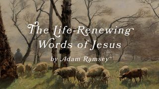 The Life-Renewing Words of Jesus by Adam Ramsey John 2:1-11 The Message