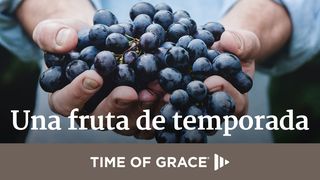 Una fruta de temporada Tito 3:5 Reina Valera Contemporánea