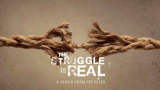 The Struggle Is Real 1 Peter 4:1-2 Amplified Bible